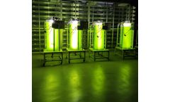 Woofaa - Model STEM - Microalgae Photobioreactor Educational Kit