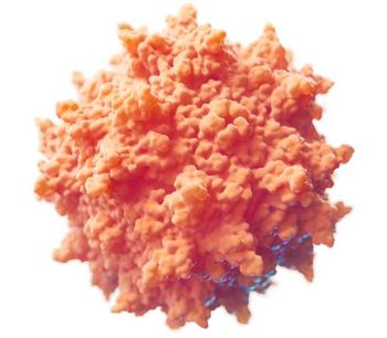 Recombinant Adeno-Associated Virus