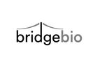Model BBP-589 - Recombinant Collagen 7 For Dystrophic Epidermolysis Bullosa (Rdeb)