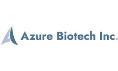Azure - Luteinizing Hormone Test Kit (LH)