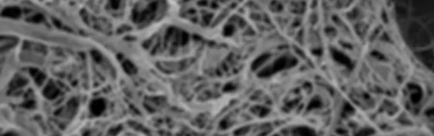 NanoClean - Liquid Solution Infused with Microfibrils