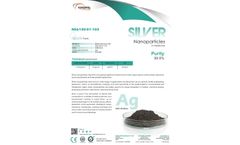Nanoshel - Model NS6130-01-103 - Silver Nanopowder Brochure