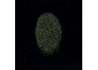 Sirchie - Gold Metallic Fingerprint Powder