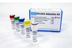 Pharmigene - Model HLA-B*1502 - Carbamazepine & Phenytoin RT-PCR & SYBR Green Based Detection Kit