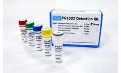 Pharmigene - Model HLA-B*1502 - Carbamazepine & Phenytoin RT-PCR & SYBR Green Based Detection Kit