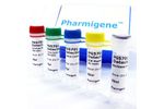 Pharmigene - Model HLA-B*5701 - RT-PCR & SYBR Green Based Detection Kit