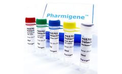 Pharmigene - Model HLA-B*5701 - RT-PCR & SYBR Green Based Detection Kit