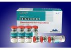 Hybio - Ganciclovir for Injection