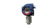 Stand Alone Infrared Gas Detector