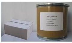 Jiejing - Fucoidan Brown Seaweed Extract