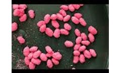Do You Know How the Seeds are Coated? - Water Absorbent Polymer - Video