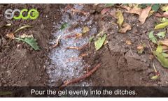 Wet Application of Water Retaining Agent for Peach Tree/Soco Polymer/SAP - Video