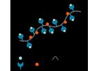 MHC II Dextramer - Model CD4+ T Cells - Identify Antigen-Specific Flow Cytometry