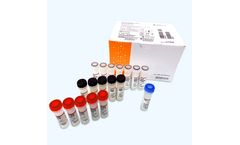 OPTI - Model SARS-CoV-2 - RT-PCR Test