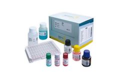 TestLine EIA - Model AdG096 - Adenovirus IgG Test Kit