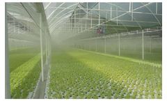 Genfog - Greenhouse Applications Cooling System