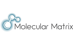 Molecular Matrix, Inc. Forms Strategic Alliance with Philosys Healthcare