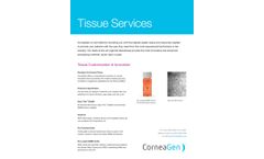 DMEK - Descemets Membrane Endothelial Keratoplasty - Brochure