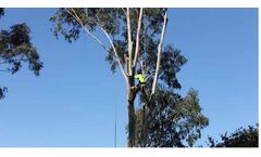 Tree Removal Melbourne Services