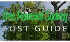 Tree Removal Sydney New Price Guide 2019 - Video
