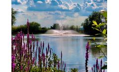 SS2 Super Lily Floating Lake Fountain Supply and Installation in Epping, Essex