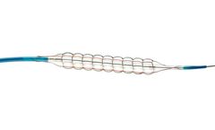 QT-Vascular Chocolate - Model PTCA - Balloon Catheter
