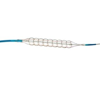 QT-Vascular Chocolate - Model PTCA - Balloon Catheter