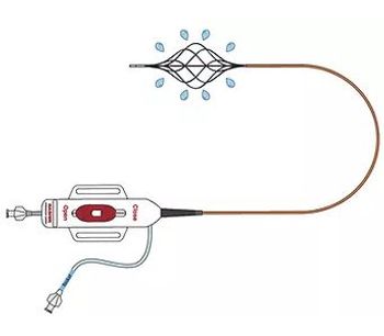 Bashir - Endovascular Catheter