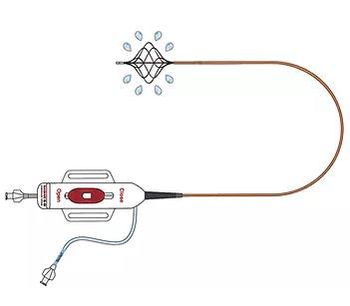 Bashir - Model S-B - Endovascular Catheter