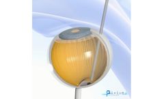 Prima Bionic Vision System