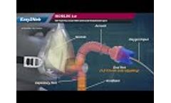 NIV Mask with Universal Nebulisation Port ( PneumoCare Easy2Neb) - Video