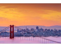 SurgiMab sponsors the conference “Molecular-Guided Surgery” of the SPIE Photonics West meeting - San Francisco, 1st and 2nd feb. 2020.