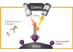 SurgiMab - Intraoperative Detection Technology of Tumors