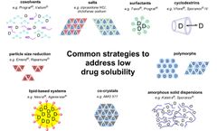 Techniques to Enhance Drug Solubility
