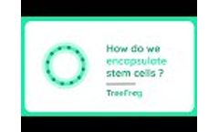 C-Stem: How do We Encapsulate Stem Cells I TreeFrog Therapeutics - Video