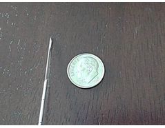 Typical biopsy needle next to a dime for size comparison