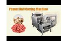Dry peanut peeling and half cutting machine - Video