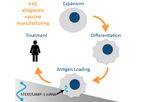 Model VAC2 - Immuno-Oncology for Non-Small Cell Lung Cancer (NSCLC)