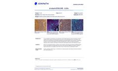 Ionpath - Model 113In - ??-Tubulin Antibody - Brochure