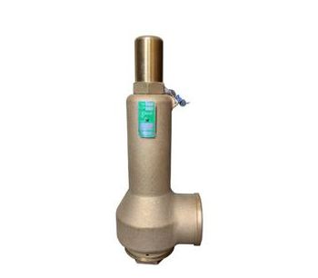 Bailey - Model 716VSD - Aflas Disk with Dome Top Safety Relief Valve