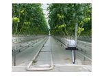 Hydroponic Tomato Greenhouse System