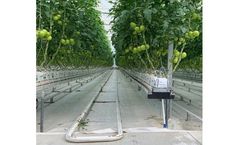 BHK - Hydroponic Tomato Greenhouse System
