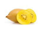 Livaux - Gold Kiwifruit Powder for the Balance of the Intestinal Microbiota