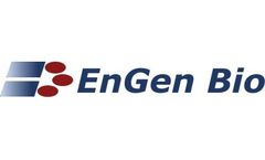 EnGen Bio - Model M1 and M2 - Type A Influenza Protein