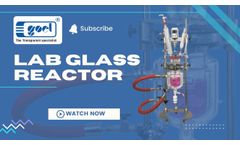 Lab Glass Reactor - Video