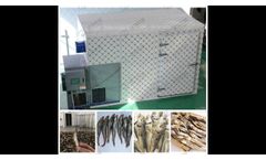 Fish drying machine of Guoxin machinery - Video