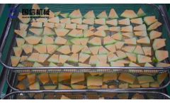 Guoxin machinery-pumpkin hami melon slice drying machine - Video