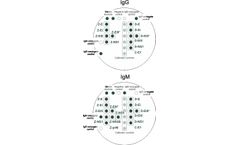 Arbovirus Viramed - Model IgG and IgM - Protein Microarrays for the Qualitative Detection