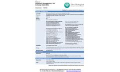 Sino - Model Anti-EGFR-10001-MM01 - Mouse Monoclonal Antibody - Datasheet
