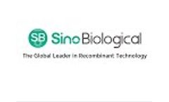 Sino Biological, Inc. - Video